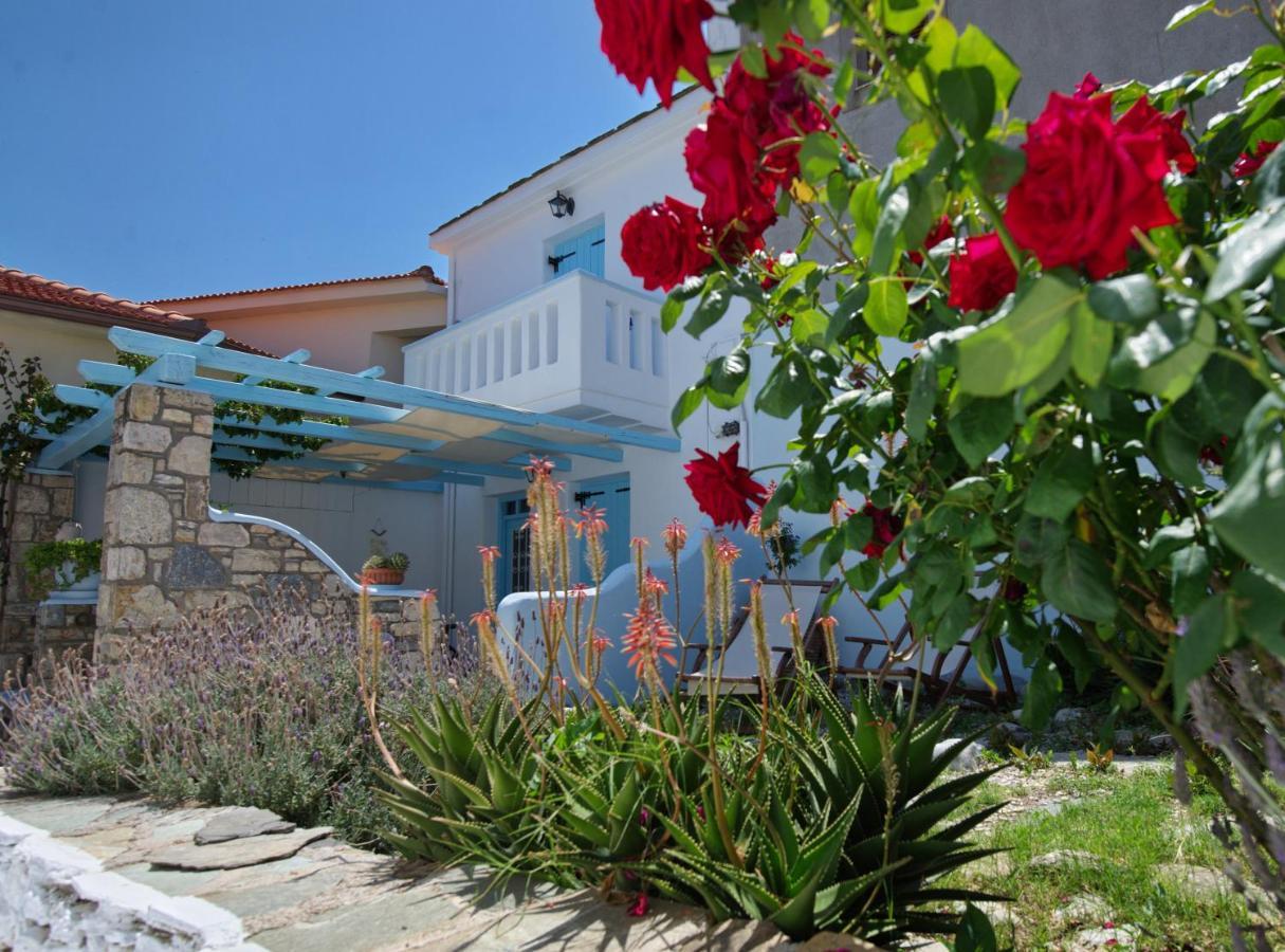 Stella's Traditional House.